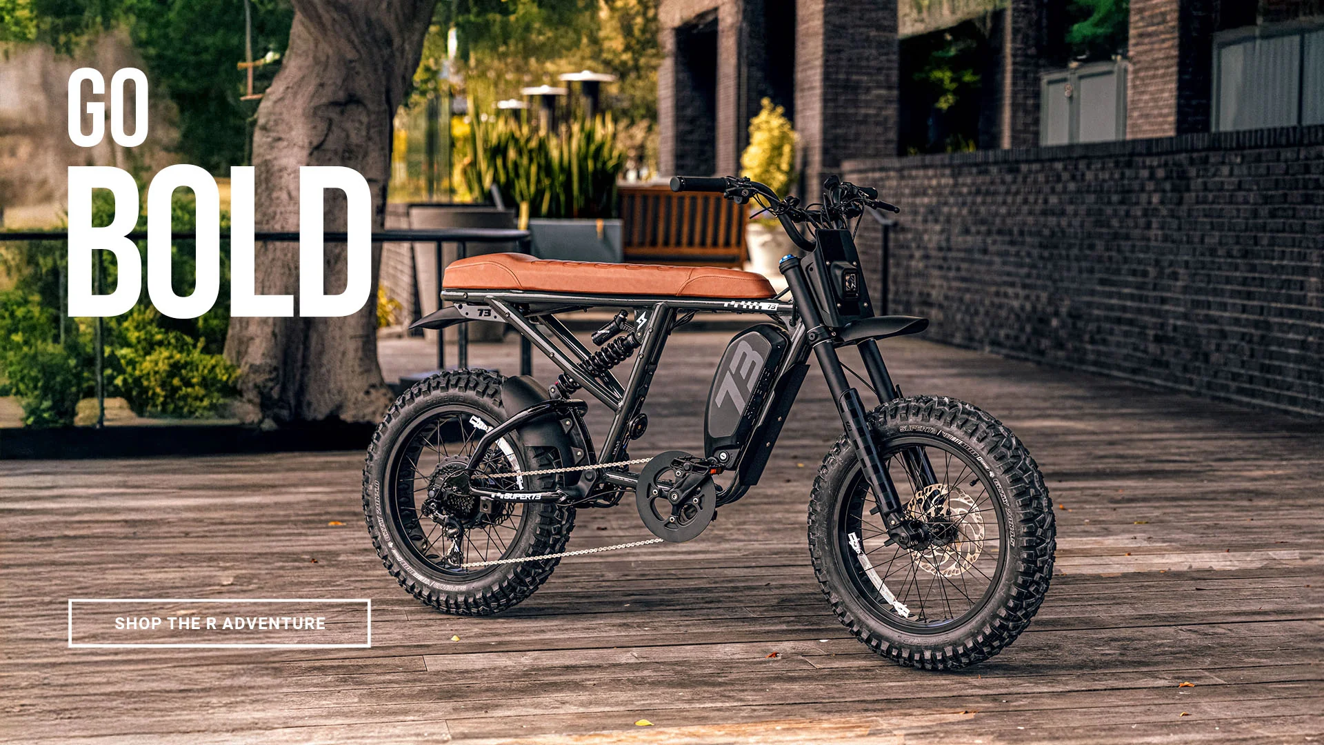 Ride Without Limits